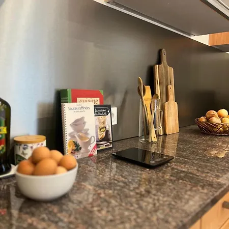 Apartment Terrasse Et Parking, Tram Direct Geneve *